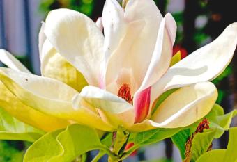 Magnolia House allows 18 year olds to book a room