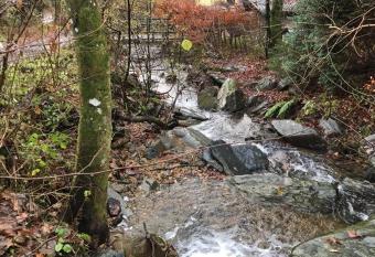 Rivendell I3 has Balcony rooms