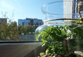 Bright Side Apartment Koszutka allows 18 year olds to book a room