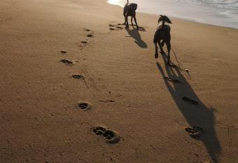 Mark s View has rooms with a private hot tub