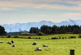 Gem bed and breakfast allows 18 year olds to book a room