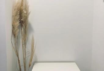 Jacuzzi Apartment Code 96 has rooms with a private hot tub