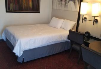 Judy's bed and Breakfast allows 18 year olds to book a room