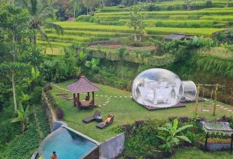 Romantic Bubble Dome allows 18 year olds to book a room