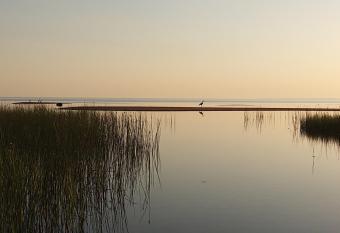 P  rka kodumajutus has Balcony rooms