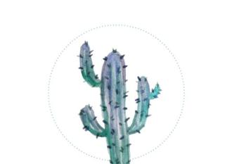             allows 18 year olds to book a room