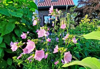 Klein-Tj  cher-Grashaus 4 has Balcony rooms