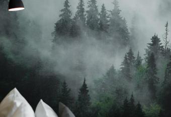 Hotel Nickisch allows 18 year olds to book a room