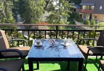 Apartman 2 Zlaja Vla  i   has Balcony rooms