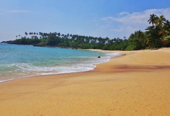The Nest has Balcony rooms