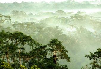 Gaia Riverlodge allows 18 year olds to book a room