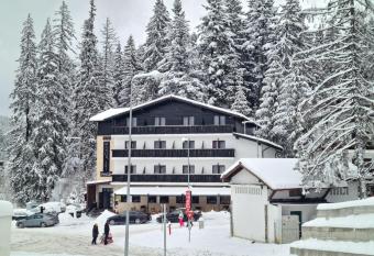 Manor Ski Hotel has Balcony rooms