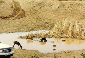 Romantic Cottage, Hot Tub, Rural rustico, Agriturismo, Walking Trail allows 18 year olds to book a room