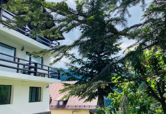Pensiunea DEDU has Balcony rooms