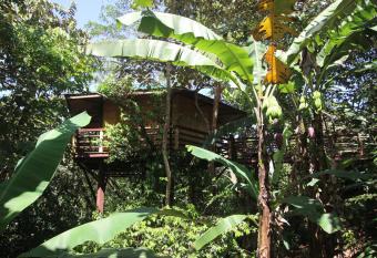 TREEHOUSE PILON PAVONES allows 18 year olds to book a room