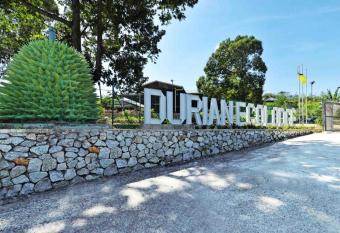 Durian Ecolodge has Balcony rooms