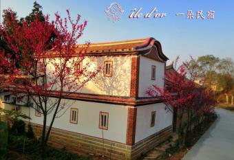   le d or              -        has Balcony rooms