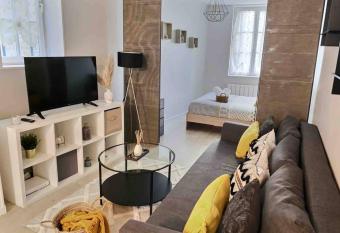 Grand studio cosy 33m2 - hypercentre allows 18 year olds to book a room