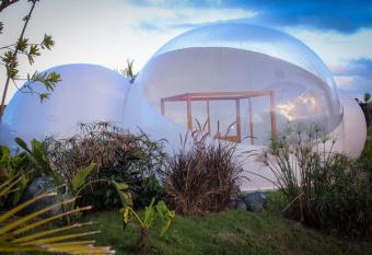 Green Land Bubble Glamping allows 18 year olds to book a room