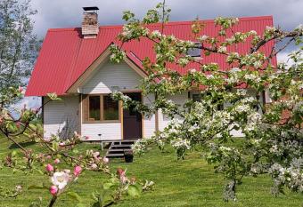 Mesikam  e Saunamaja allows 18 year olds to book a room