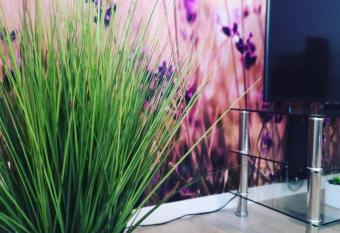 Ferienwohnung Lavanda has Balcony rooms