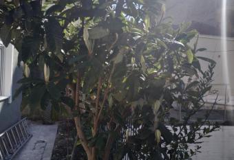 Agelikis  Apartments allows 18 year olds to book a room