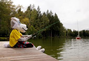 Sonnenresort Maltschacher See has Balcony rooms