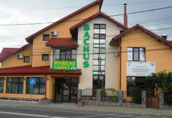 Pensiunea Bachus has Balcony rooms