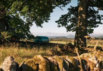 Cardross Estate Glamping Pods allows 18 year olds to book a room