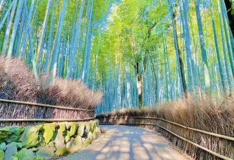 Sun Members Kyoto Saga has Smoking rooms