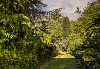 Ward Avenue B&B has Balcony rooms