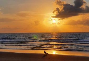 Casas P   na Areia - Vista Mar allows 18 year olds to book a room