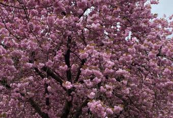 Six minutes to Rupert station has rooms with a private hot tub