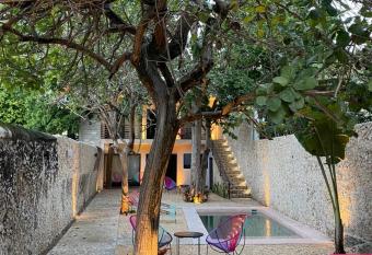 Hotelito YUM KAAX allows 18 year olds to book a room