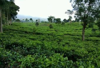 Villa Green Fresh - Bumi Ciherang - Cipanas has Balcony rooms