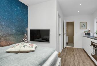 Central Studio Apartment allows 18 year olds to book a room