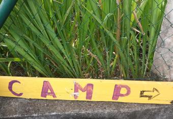 tat     ne camping allows 18 year olds to book a room