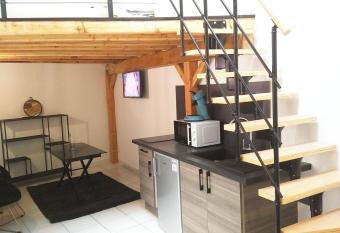 Studio Mezzanine h  tel de ville de Vienne allows 18 year olds to book a room