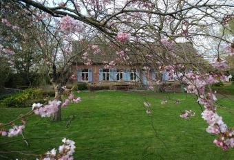 Saffels Nest 33 has Balcony rooms