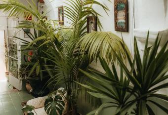 Hostal Africa has Balcony rooms