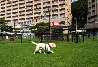 Sono Pet Clubs & Resorts Vivaldi Park has Balcony rooms
