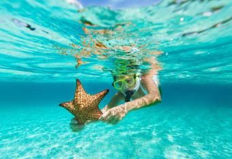 The Ritz-Carlton Turks and Caicos has Balcony rooms