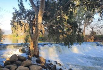               -Bluming allows 18 year olds to book a room