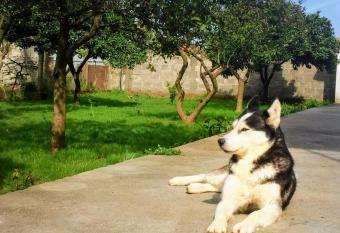 Mia Guest House - Entire home with balcony & garden view has Balcony rooms