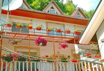 Pensiunea Ca La Mama Acasa has Balcony rooms