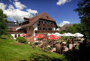 Hotel Cortina has Balcony rooms