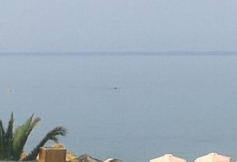 Seaside Studios has Balcony rooms