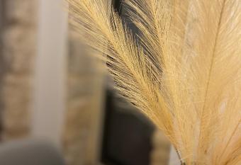 Casa Maria allows 18 year olds to book a room