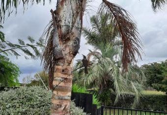 Tui Glade Bed and Breakfast allows 18 year olds to book a room