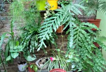 Jardin Secreto has rooms with a private hot tub